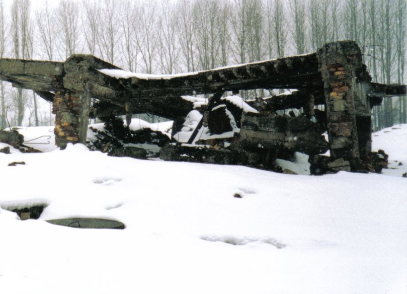 gas chambers1